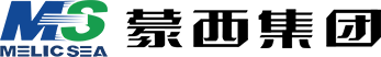 內蒙古蒙西高新技術集團有限公司